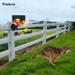 ⁦Répulsif pour animeux Capteur de mouvement à énergie solaire, alarme sonore et lumineuse 6 LED - مستشعر حركة يعمل بالطاقة الشمسية لطارد الحيوانات⁩ - الصورة ⁦6⁩
