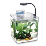 ⁦Kit mini aquarium nanbor avec système de filtrage et lampe led – حوض أسماك مع مصباح⁩ - الصورة ⁦2⁩