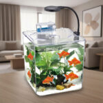 ⁦Kit mini aquarium nanbor avec système de filtrage et lampe led – حوض أسماك مع مصباح⁩ - الصورة ⁦5⁩