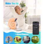 ⁦Lampe de Table avec Haut-parleur Bluetooth RGB – مكبر صوت ومنبه على شكل محارة⁩ - الصورة ⁦3⁩