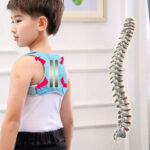 ⁦Ceinture ortho-pédique et Correcteur de Posture pour Enfants⁩ - الصورة ⁦4⁩