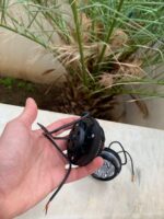 ⁦Lot de 2 Phares Antibrouillard 6 LED 12V-85V pour Moto⁩ - الصورة ⁦4⁩